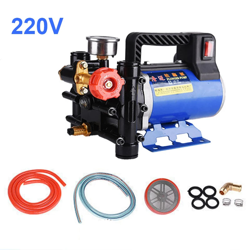 12V 24V 220V Fruit Tree Electric Watering Pump Portable Agricultural High Pressure Double Cylinder Plunger Dosing Machine Pump