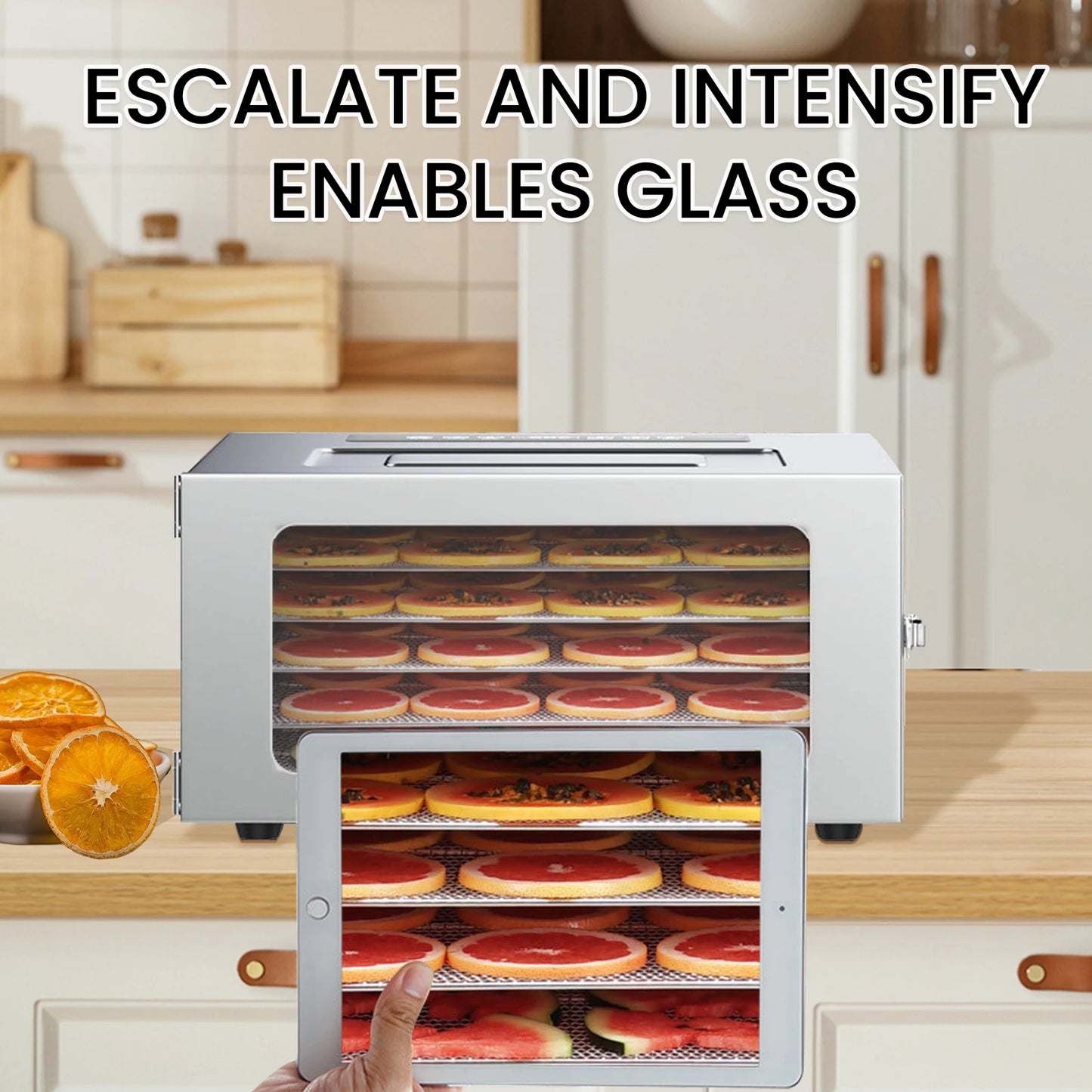 Dehydrators for Food and Jerky with 24H Timer and Light Drying rack 800W 30-90 ℃ vegtable Fruit Dehydrator EU Plug