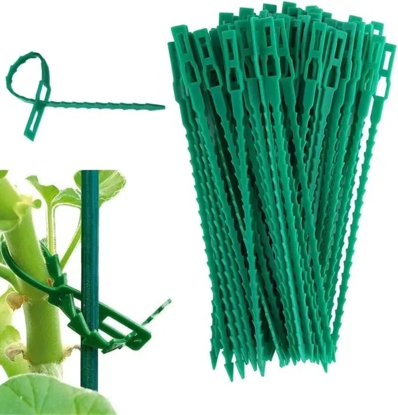 Reusable Plant Cable Ties Garden Adjustable Self-locking Tie Plant Vine Supports Cable Ties Stem Tomato Fastener Wrap Rings Clip