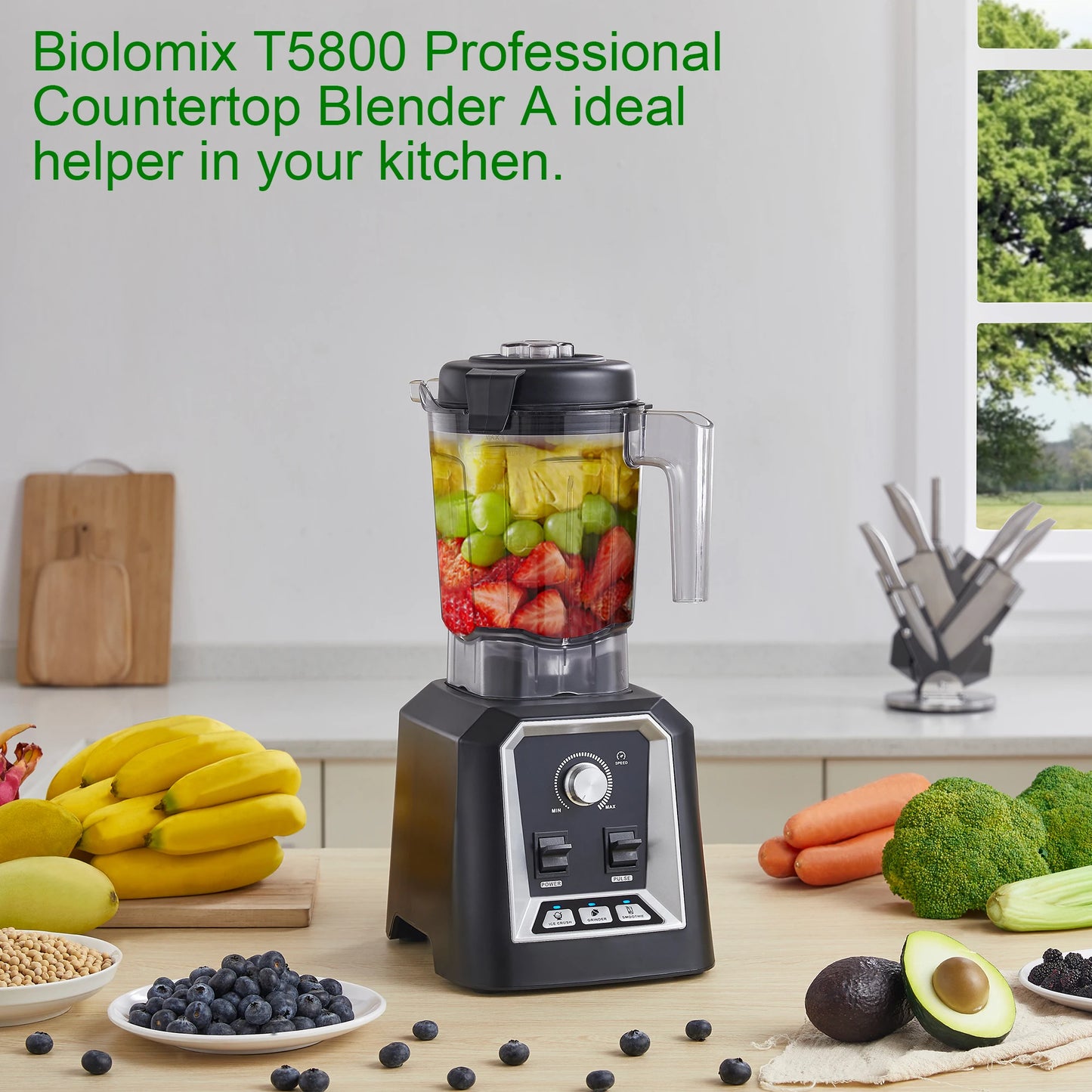 BioloMix Professional Kitchen Blender Automatic Program 2L Low-Profile BPA-Free Smoothie Juicer Ice Crusher Food Mixer
