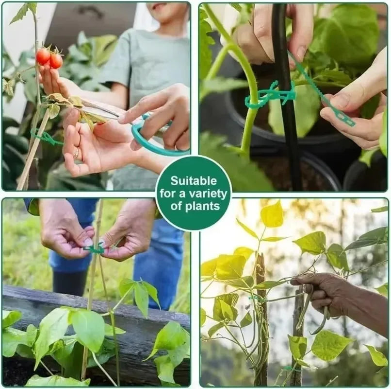Reusable Plant Cable Ties Garden Adjustable Self-locking Tie Plant Vine Supports Cable Ties Stem Tomato Fastener Wrap Rings Clip