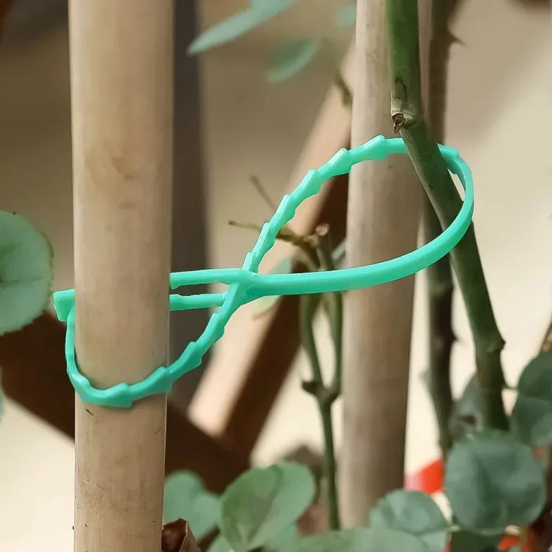 Reusable Plant Cable Ties Garden Adjustable Self-locking Tie Plant Vine Supports Cable Ties Stem Tomato Fastener Wrap Rings Clip