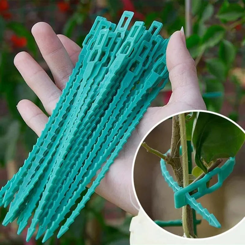 Reusable Plant Cable Ties Garden Adjustable Self-locking Tie Plant Vine Supports Cable Ties Stem Tomato Fastener Wrap Rings Clip