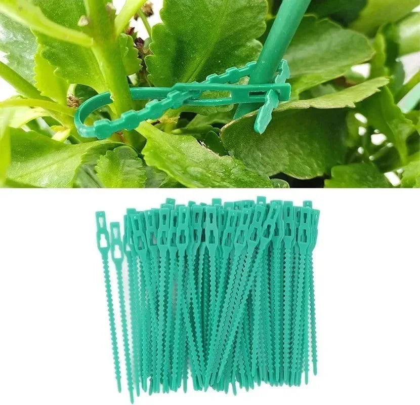 Reusable Plant Cable Ties Garden Adjustable Self-locking Tie Plant Vine Supports Cable Ties Stem Tomato Fastener Wrap Rings Clip