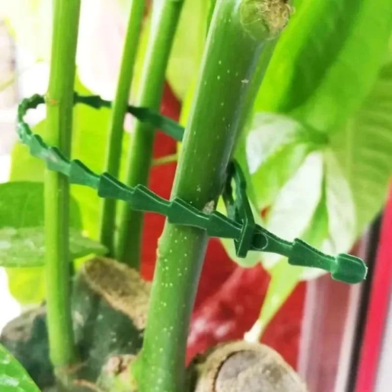 Reusable Plant Cable Ties Garden Adjustable Self-locking Tie Plant Vine Supports Cable Ties Stem Tomato Fastener Wrap Rings Clip