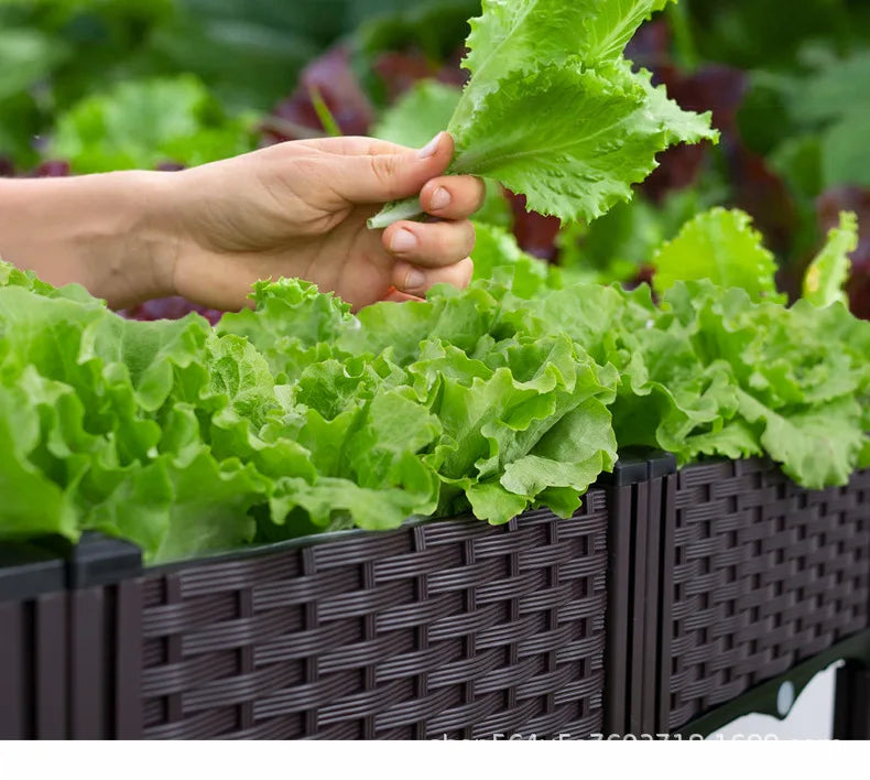 Vegetable Growing Box: Outdoor/Courtyard/Rooftop/Balcony Large Thickened Plastic Planter Trough