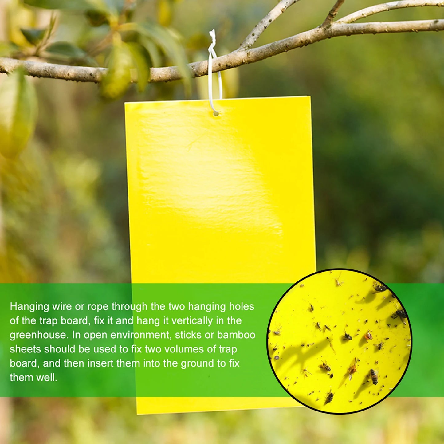 20-100pcs Sticky Insect Board Powerful Flycatcher Sticker Sheet Greenhouse Pest Control Insecticide Double-sided Adhesive Tape