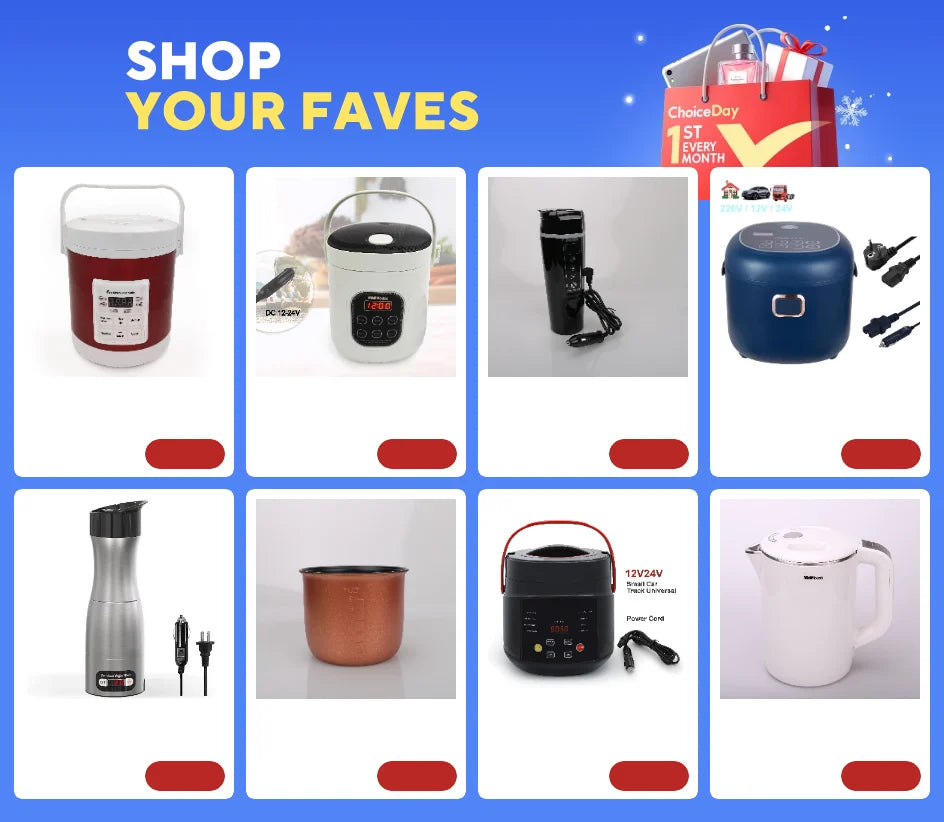 12V 200W 2.5L Electric Air Fryer For Camping Travel oil free cooking in Truck