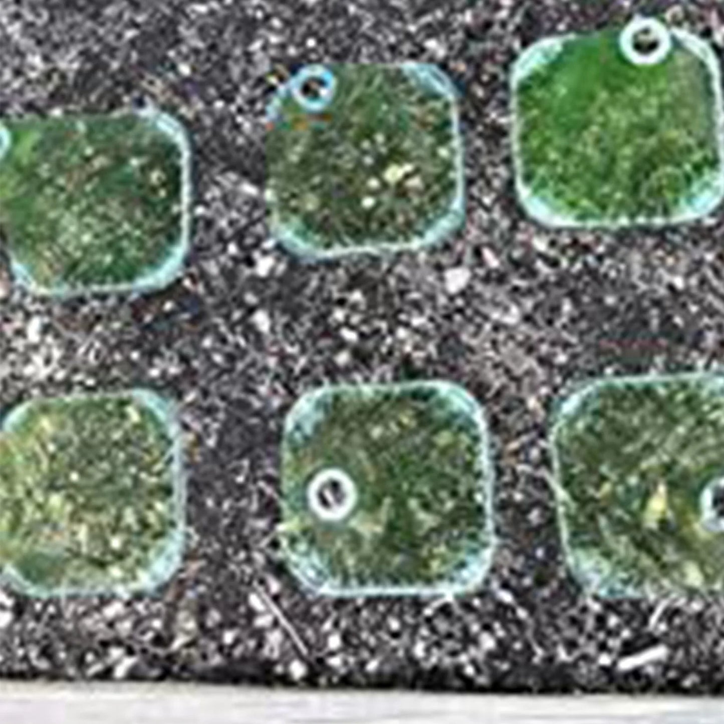 30pcs Growth Box Planting Tent Reusable Square Use Plant Clock Cover To Protect Plants From Bird Frost And Snail Damage Green