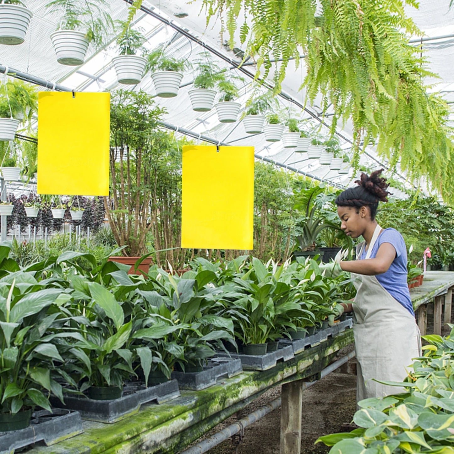 20-100pcs Sticky Insect Board Powerful Flycatcher Sticker Sheet Greenhouse Pest Control Insecticide Double-sided Adhesive Tape