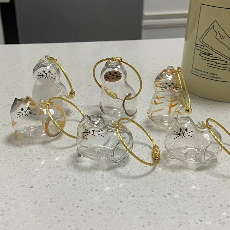 2Pcs Transparent Cat Fur Storage Box Pendant Cat Hair Capsule Commemorative Collection Bag Pendant Keychain Cat Accessories