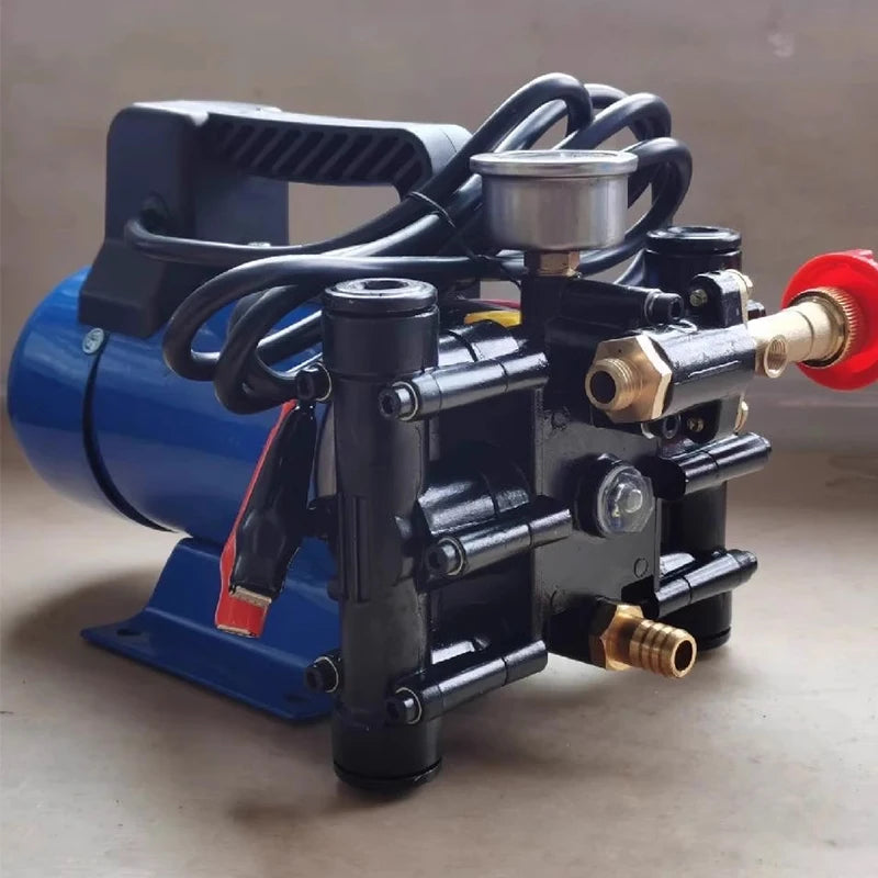 12V 24V 220V Fruit Tree Electric Watering Pump Portable Agricultural High Pressure Double Cylinder Plunger Dosing Machine Pump