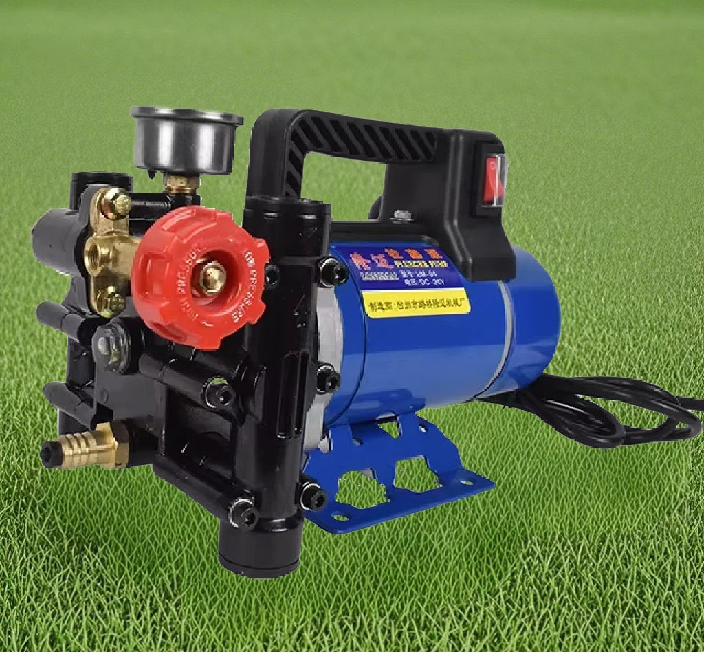 12V 24V 220V Fruit Tree Electric Watering Pump Portable Agricultural High Pressure Double Cylinder Plunger Dosing Machine Pump