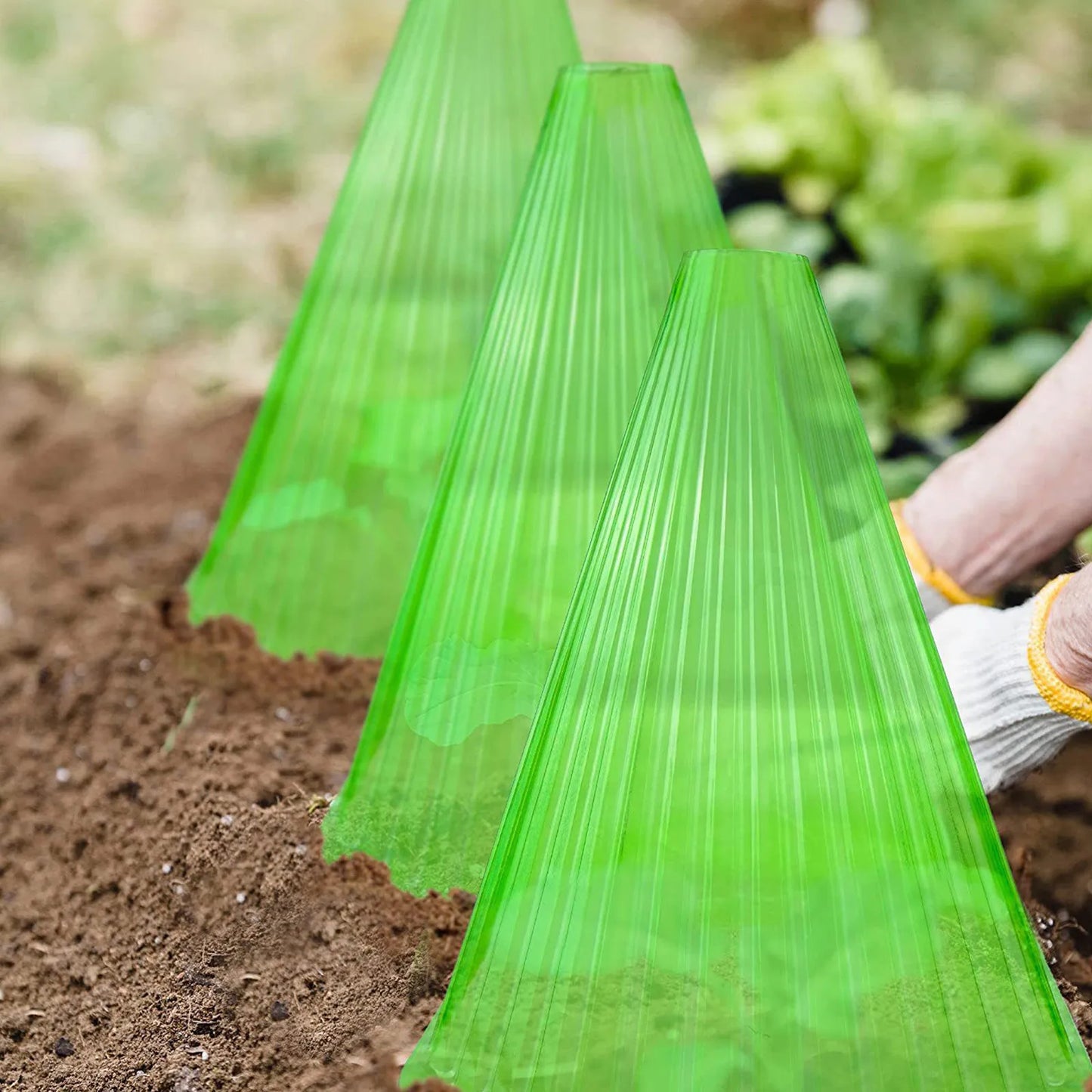30pcs Growth Box Planting Tent Reusable Square Use Plant Clock Cover To Protect Plants From Bird Frost And Snail Damage Green
